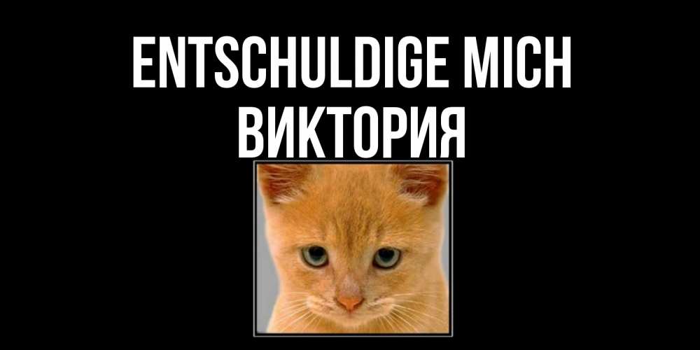 Открытка на каждый день с именем, Виктория Entschuldige mich рыжий грустный кот просит прощения Прикольная открытка с пожеланием онлайн скачать бесплатно 