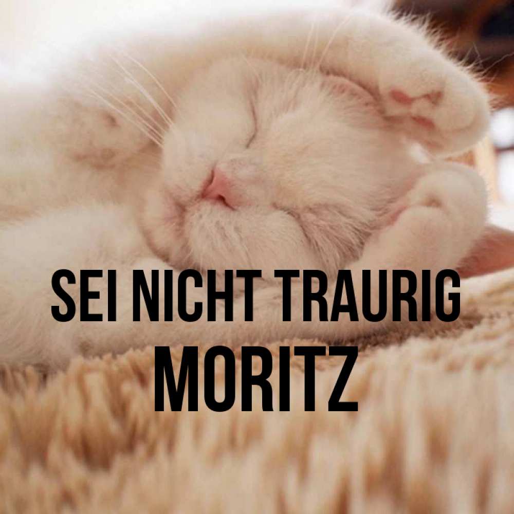 Открытка на каждый день с именем, Moritz Sei nicht traurig Котенок спит Прикольная открытка с пожеланием онлайн скачать бесплатно 