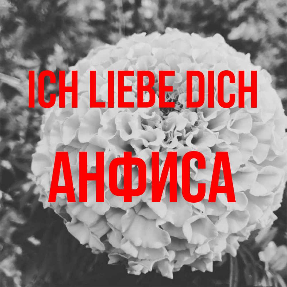 Открытка на каждый день с именем, Анфиса Ich liebe dich подпись Прикольная открытка с пожеланием онлайн скачать бесплатно 