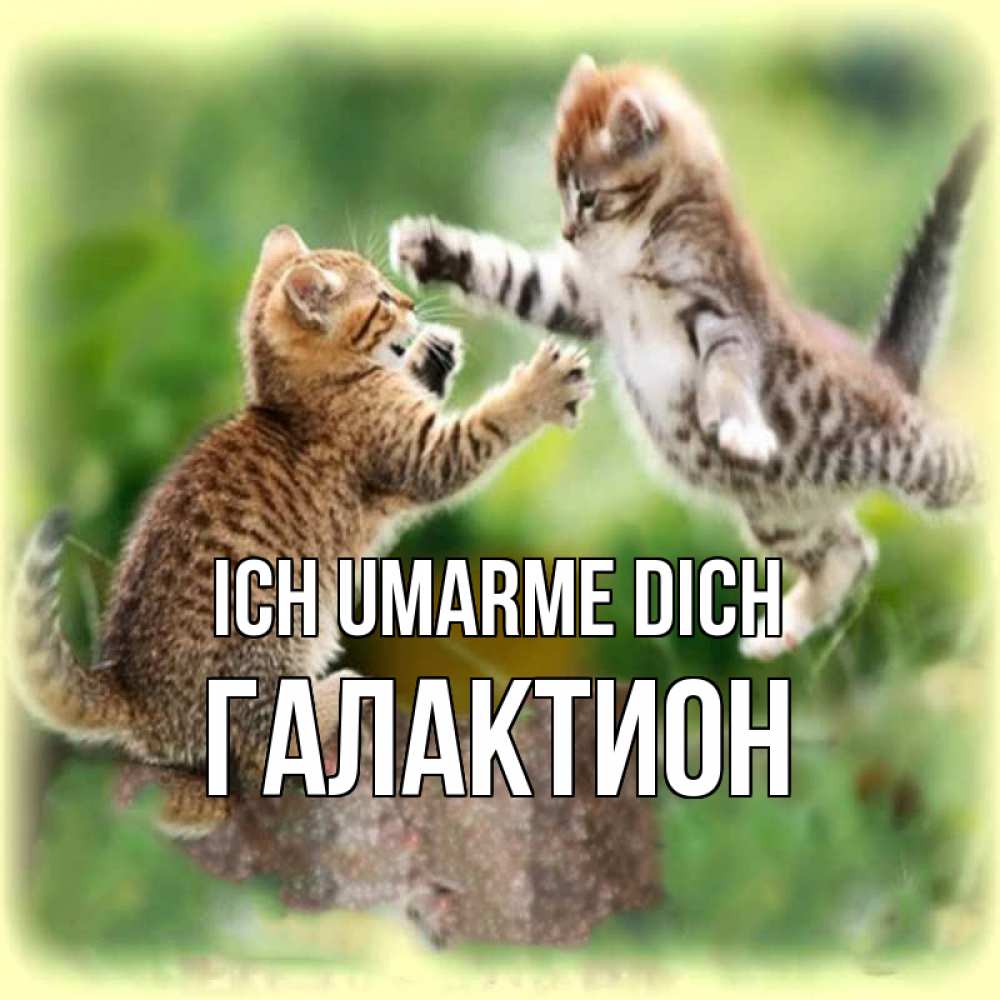 Открытка на каждый день с именем, Галактион Ich umarme dich игры котят Прикольная открытка с пожеланием онлайн скачать бесплатно 