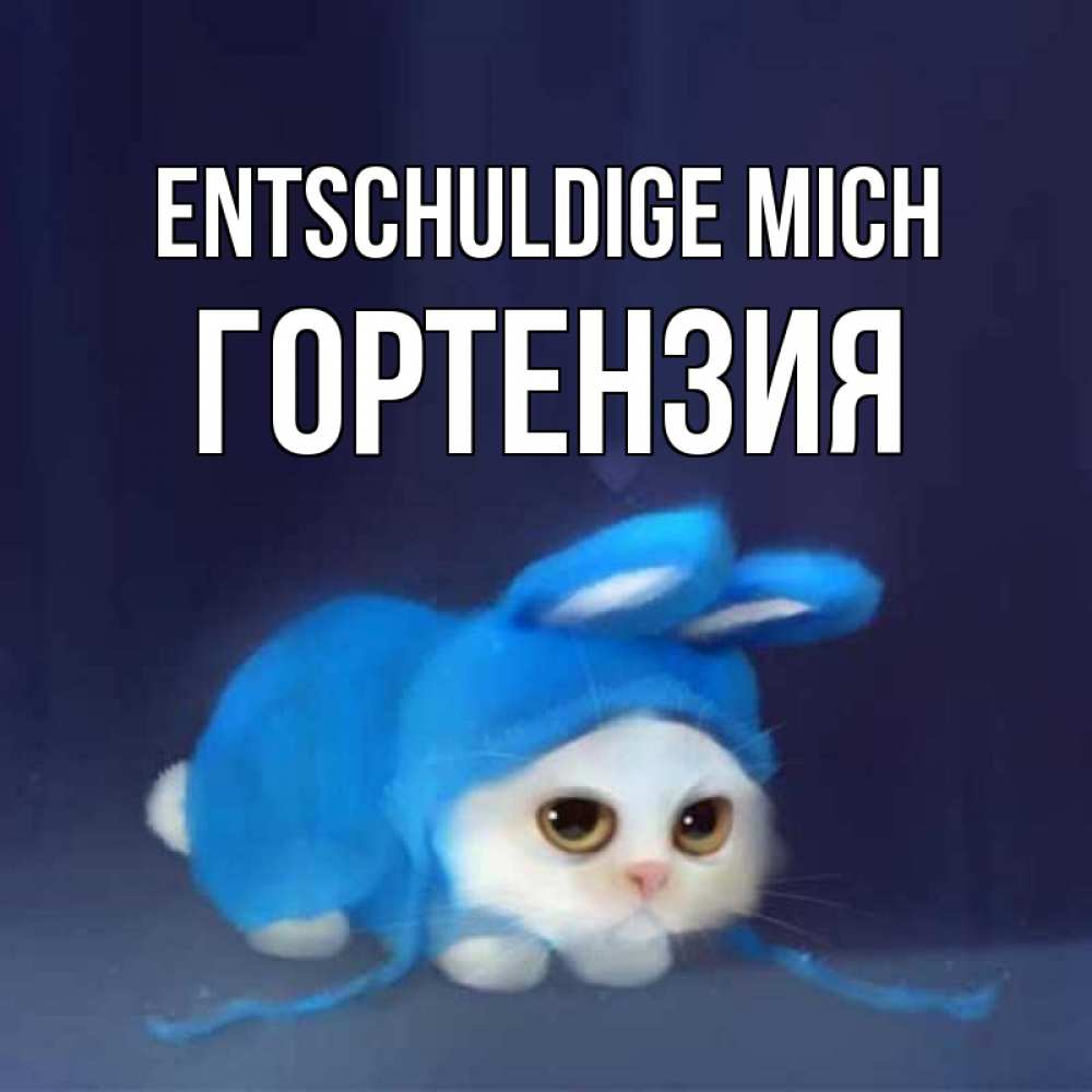Открытка на каждый день с именем, Гортензия Entschuldige mich невинный котозай просит прощения Прикольная открытка с пожеланием онлайн скачать бесплатно 