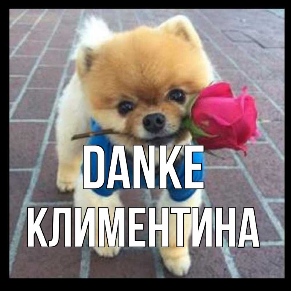 Открытка на каждый день с именем, Климентина Danke спасибо и дарю тебе цветок Прикольная открытка с пожеланием онлайн скачать бесплатно 