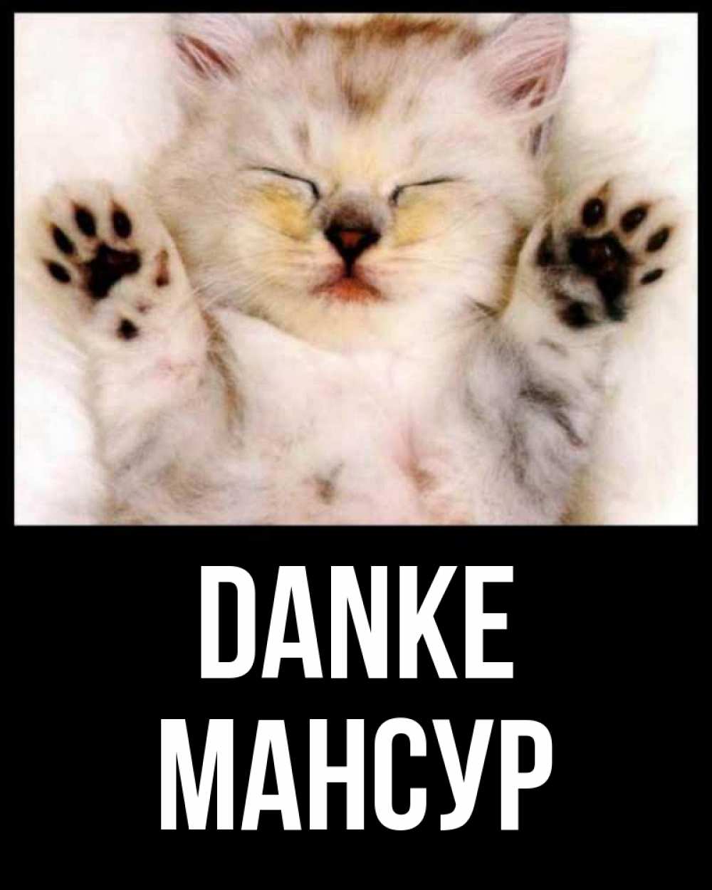 Открытка на каждый день с именем, Мансур Danke маленький котенок Прикольная открытка с пожеланием онлайн скачать бесплатно 
