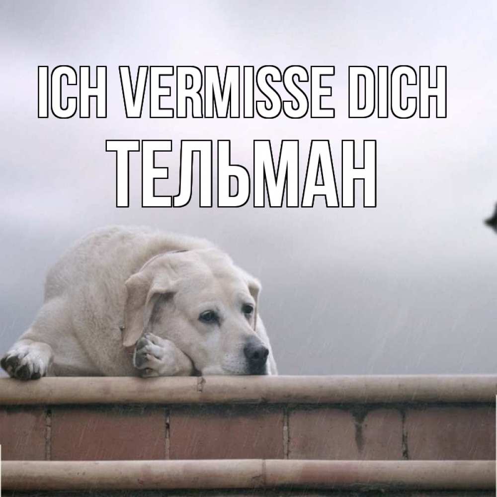 Открытка на каждый день с именем, Тельман Ich vermisse dich ждет Прикольная открытка с пожеланием онлайн скачать бесплатно 