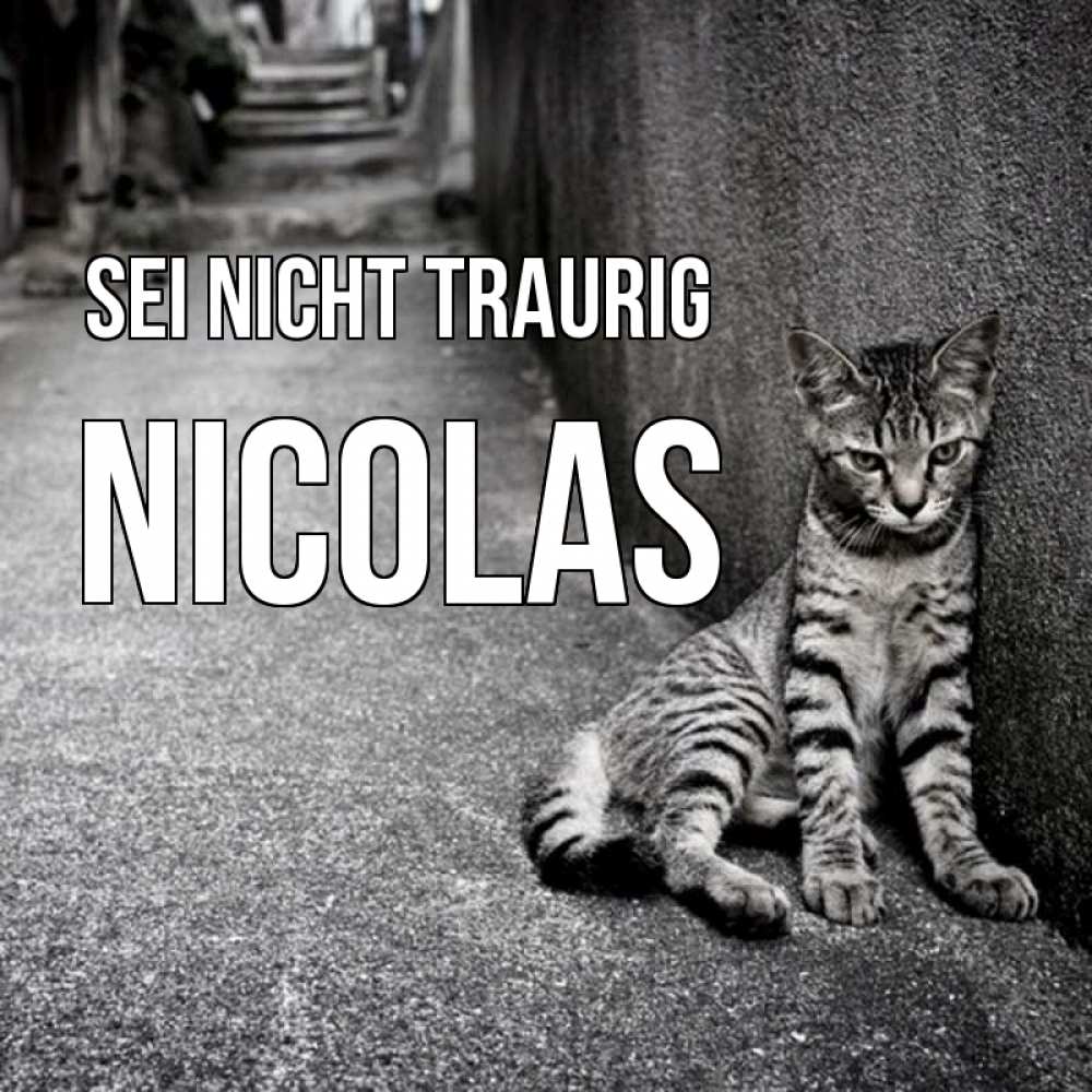 Открытка на каждый день с именем, Nicolas Sei nicht traurig скучающий котик Прикольная открытка с пожеланием онлайн скачать бесплатно 