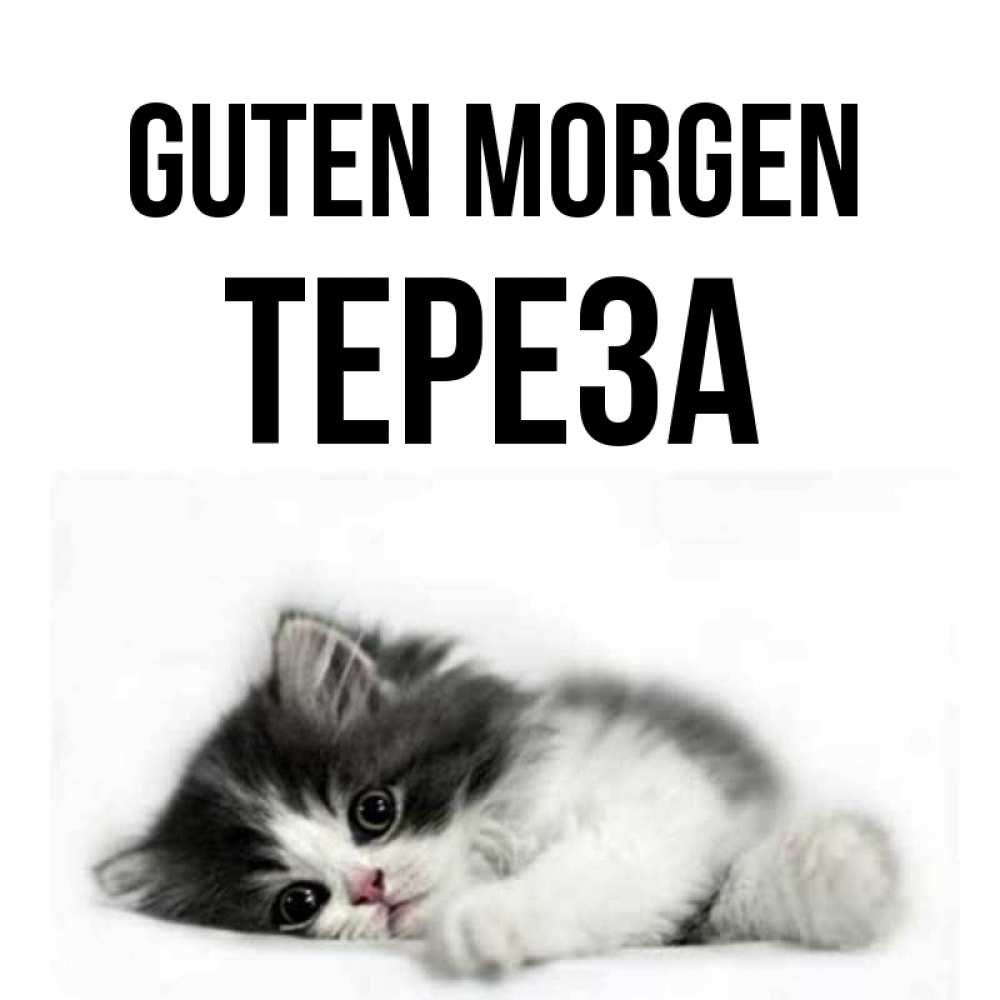 Открытка на каждый день с именем, Тереза Guten Morgen кот лапки Прикольная открытка с пожеланием онлайн скачать бесплатно 