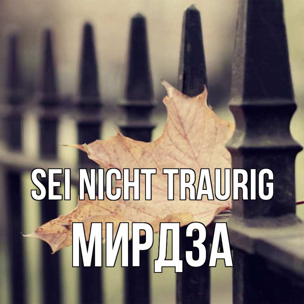 Открытка на каждый день с именем, Мирдза Sei nicht traurig лист клена Прикольная открытка с пожеланием онлайн скачать бесплатно 