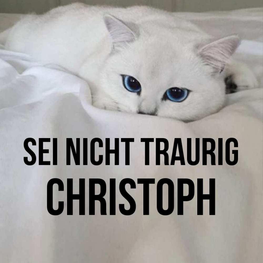 Открытка на каждый день с именем, Christoph Sei nicht traurig Голубоглазая кошка Прикольная открытка с пожеланием онлайн скачать бесплатно 