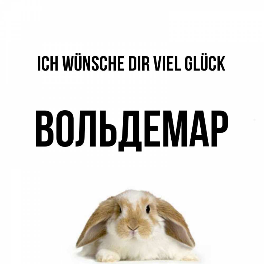 Открытка на каждый день с именем, Вольдемар Ich wünsche dir viel Glück открытки с произвольным текстом который можно вставить в открытку и создать ее самостоятельно бесплатно онлайн Прикольная открытка с пожеланием онлайн скачать бесплатно 