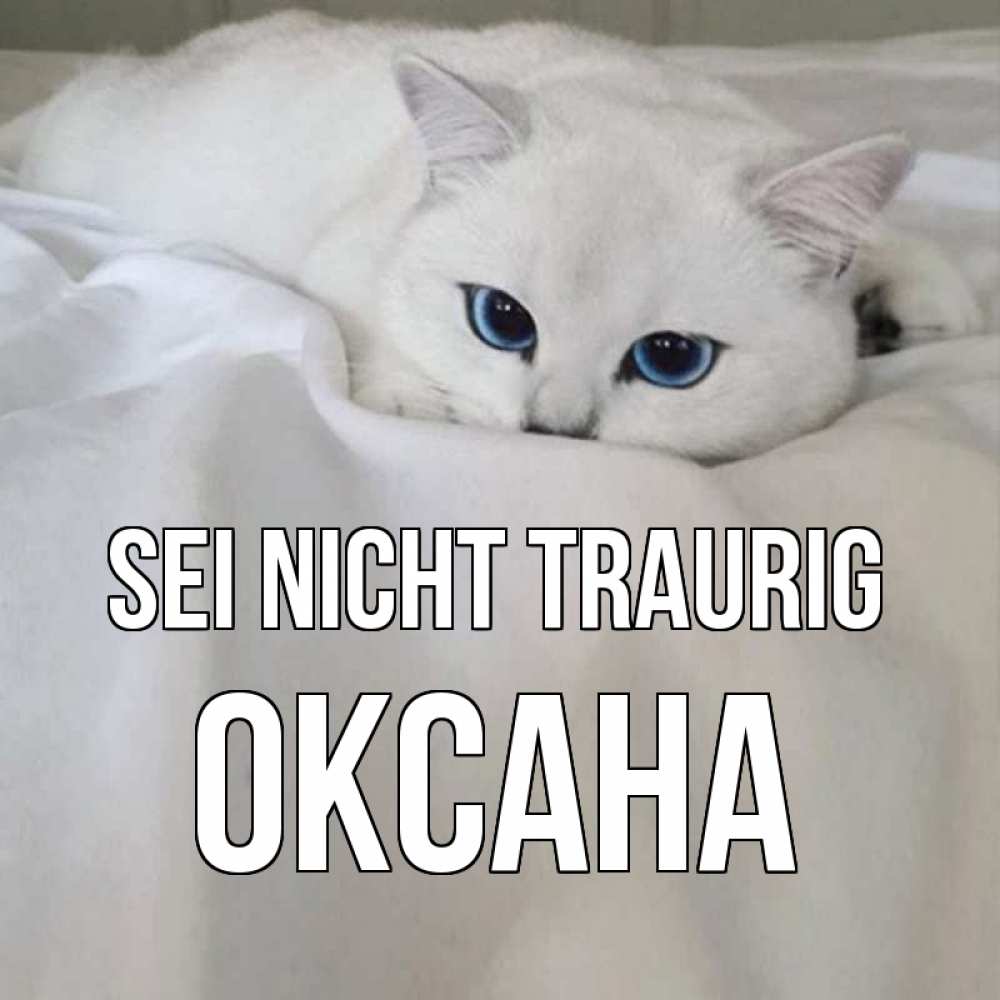 Открытка на каждый день с именем, Оксана Sei nicht traurig белый кот с голубыми глазами на белоснежной кровати Прикольная открытка с пожеланием онлайн скачать бесплатно 
