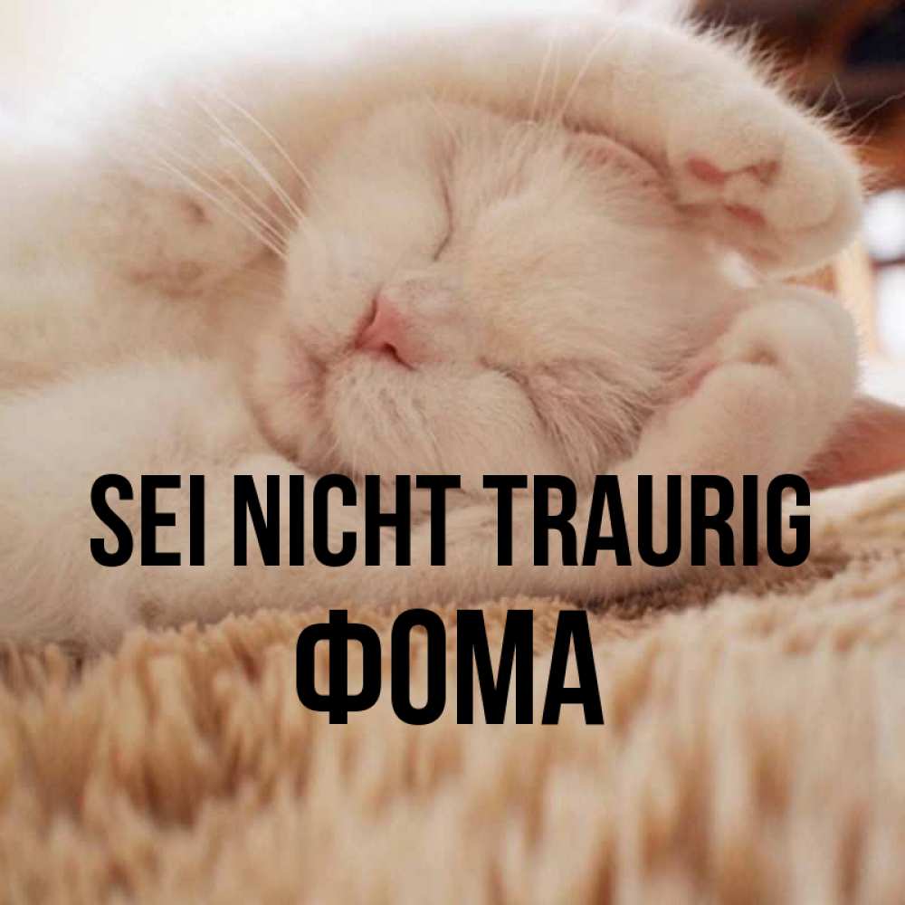 Открытка на каждый день с именем, Фома Sei nicht traurig Котенок спит Прикольная открытка с пожеланием онлайн скачать бесплатно 