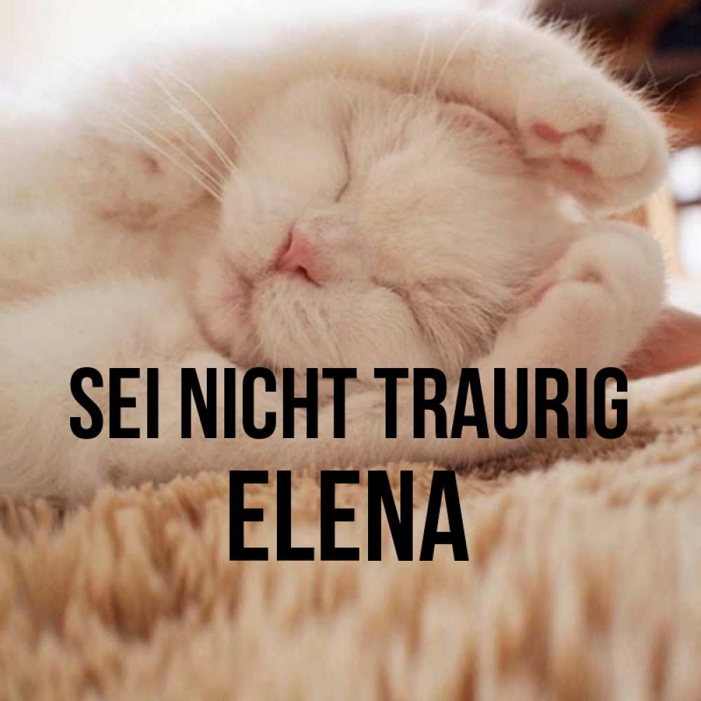 Открытка на каждый день с именем, Elena Sei nicht traurig Котенок спит Прикольная открытка с пожеланием онлайн скачать бесплатно 
