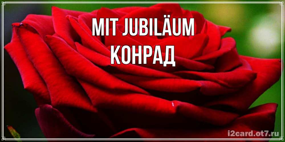 Открытка на каждый день с именем, Конрад Mit Jubiläum розочка очень красивая Прикольная открытка с пожеланием онлайн скачать бесплатно 