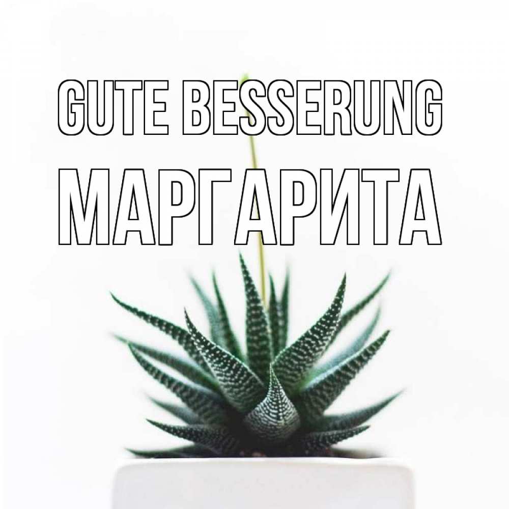 Открытка на каждый день с именем, Маргарита Gute Besserung короче это непонятная колючка Прикольная открытка с пожеланием онлайн скачать бесплатно 