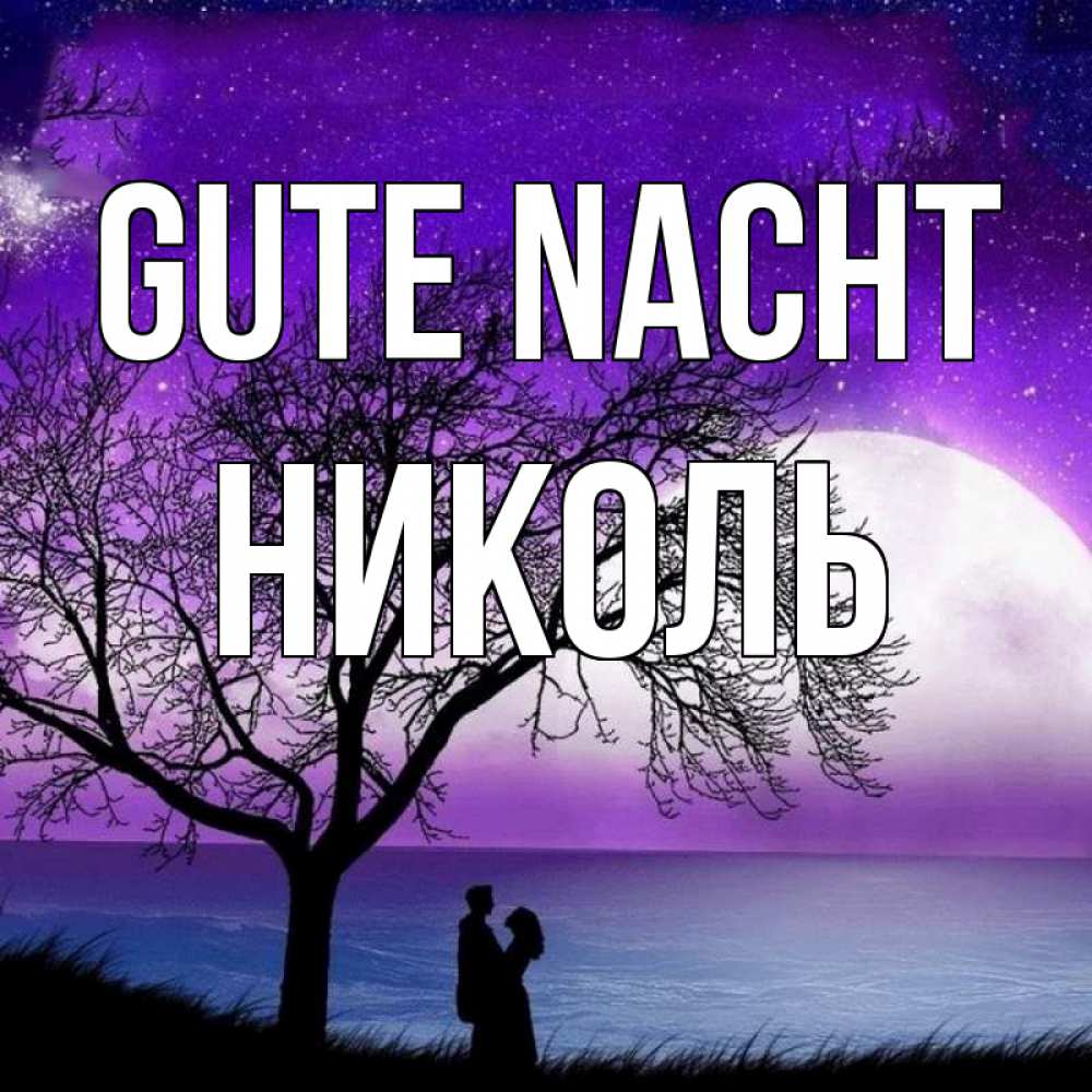Открытка на каждый день с именем, Николь Gute Nacht огромная луна и парочка Прикольная открытка с пожеланием онлайн скачать бесплатно 