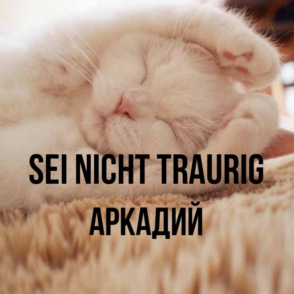 Открытка на каждый день с именем, Аркадий Sei nicht traurig Котенок спит Прикольная открытка с пожеланием онлайн скачать бесплатно 