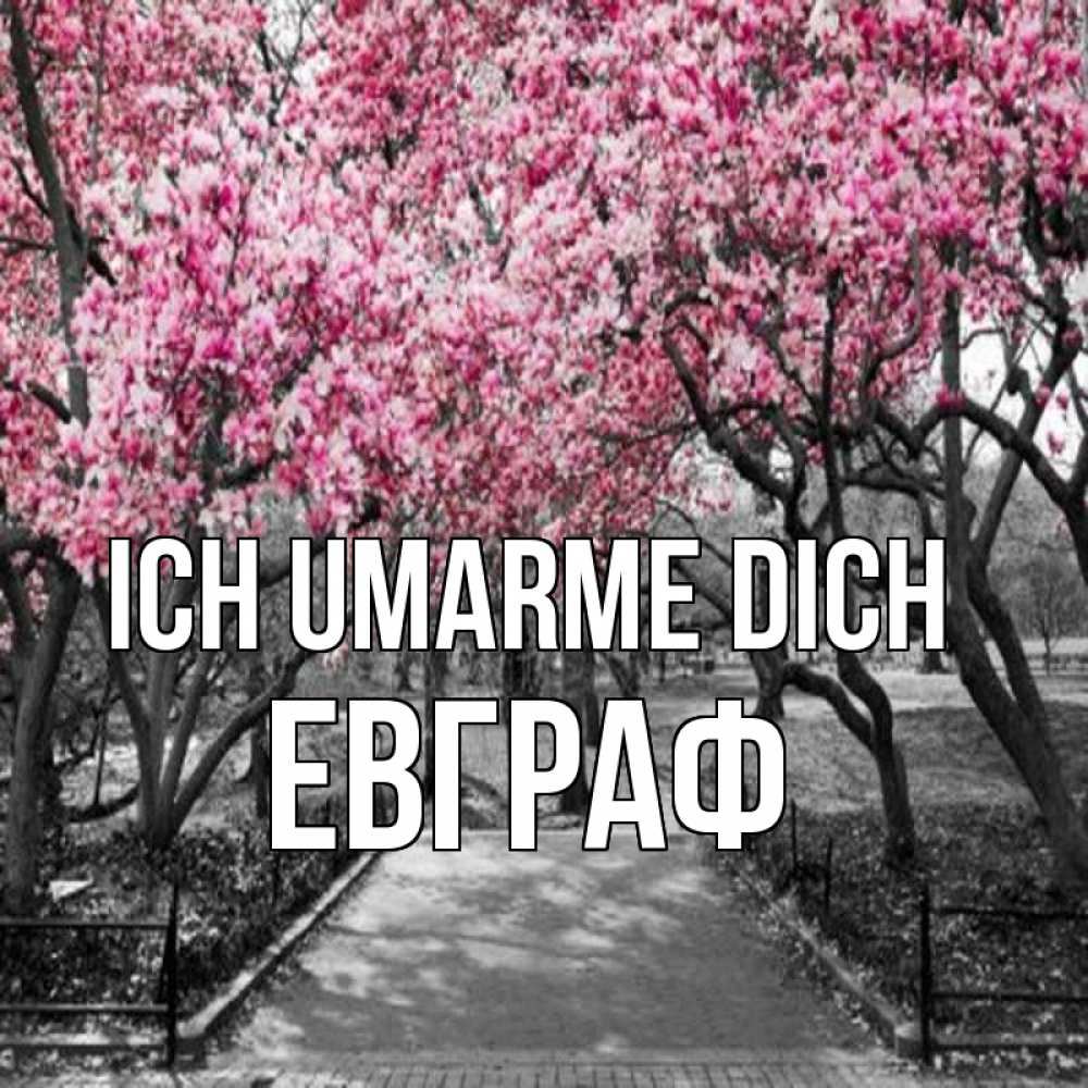 Открытка на каждый день с именем, Евграф Ich umarme dich обработанное фото Прикольная открытка с пожеланием онлайн скачать бесплатно 