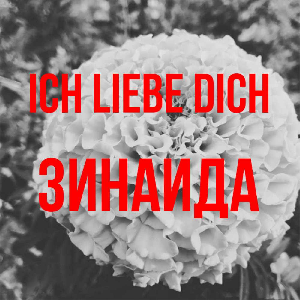 Открытка на каждый день с именем, Зинаида Ich liebe dich подпись Прикольная открытка с пожеланием онлайн скачать бесплатно 