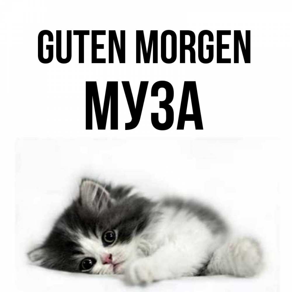 Открытка на каждый день с именем, Муза Guten Morgen кот лапки Прикольная открытка с пожеланием онлайн скачать бесплатно 