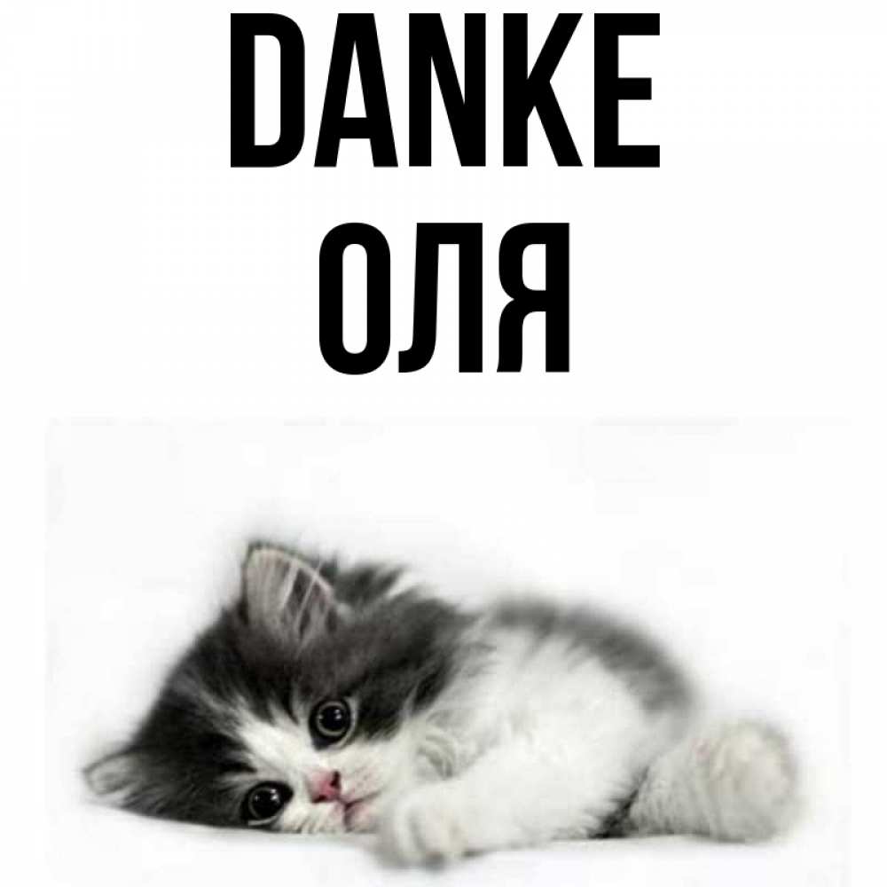 Открытка на каждый день с именем, Оля Danke черный и белый кот Прикольная открытка с пожеланием онлайн скачать бесплатно 