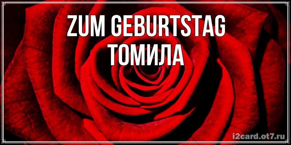 Открытка на каждый день с именем, Томила Zum Geburtstag алая роза Прикольная открытка с пожеланием онлайн скачать бесплатно 
