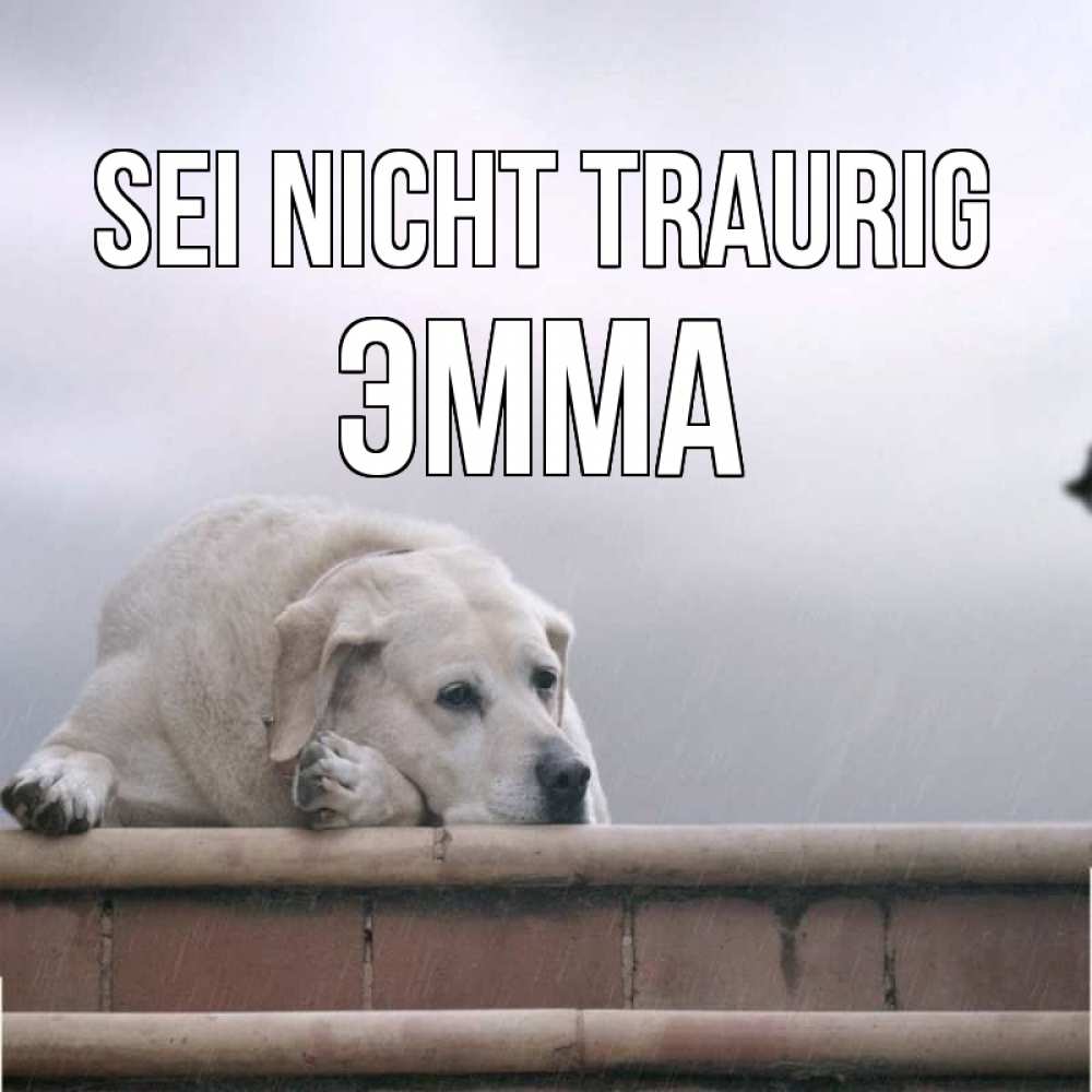 Открытка на каждый день с именем, Эмма Sei nicht traurig белый пес 1 Прикольная открытка с пожеланием онлайн скачать бесплатно 