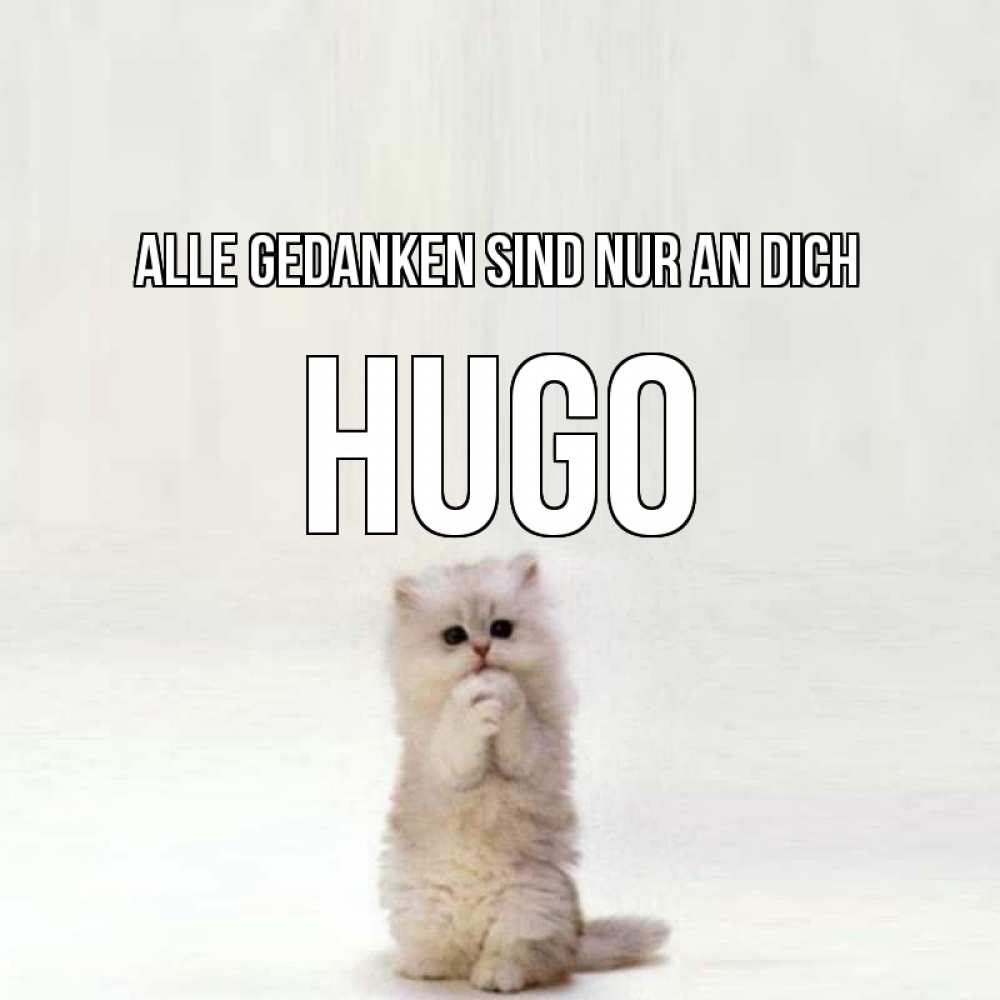 Открытка на каждый день с именем, Hugo Alle Gedanken sind nur an dich кот стоит на задних лапах Прикольная открытка с пожеланием онлайн скачать бесплатно 