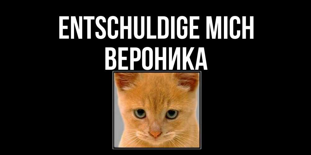 Открытка на каждый день с именем, Вероника Entschuldige mich рыжий грустный кот просит прощения Прикольная открытка с пожеланием онлайн скачать бесплатно 