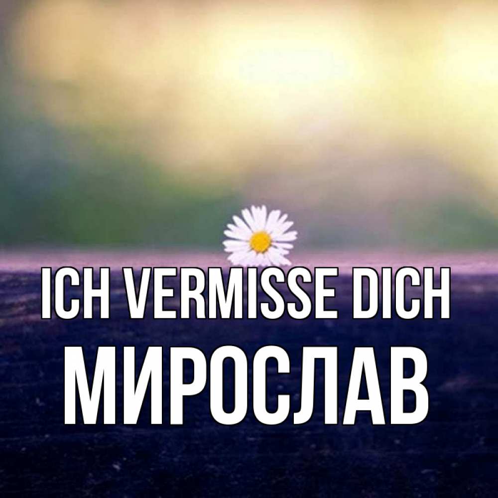 Открытка на каждый день с именем, Мирослав Ich vermisse dich приходи в гости Прикольная открытка с пожеланием онлайн скачать бесплатно 