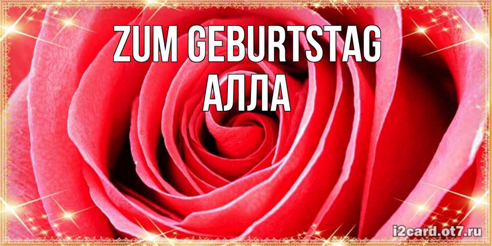 Открытка на каждый день с именем, Алла Zum Geburtstag розовая роза очень крупный бутон Прикольная открытка с пожеланием онлайн скачать бесплатно 
