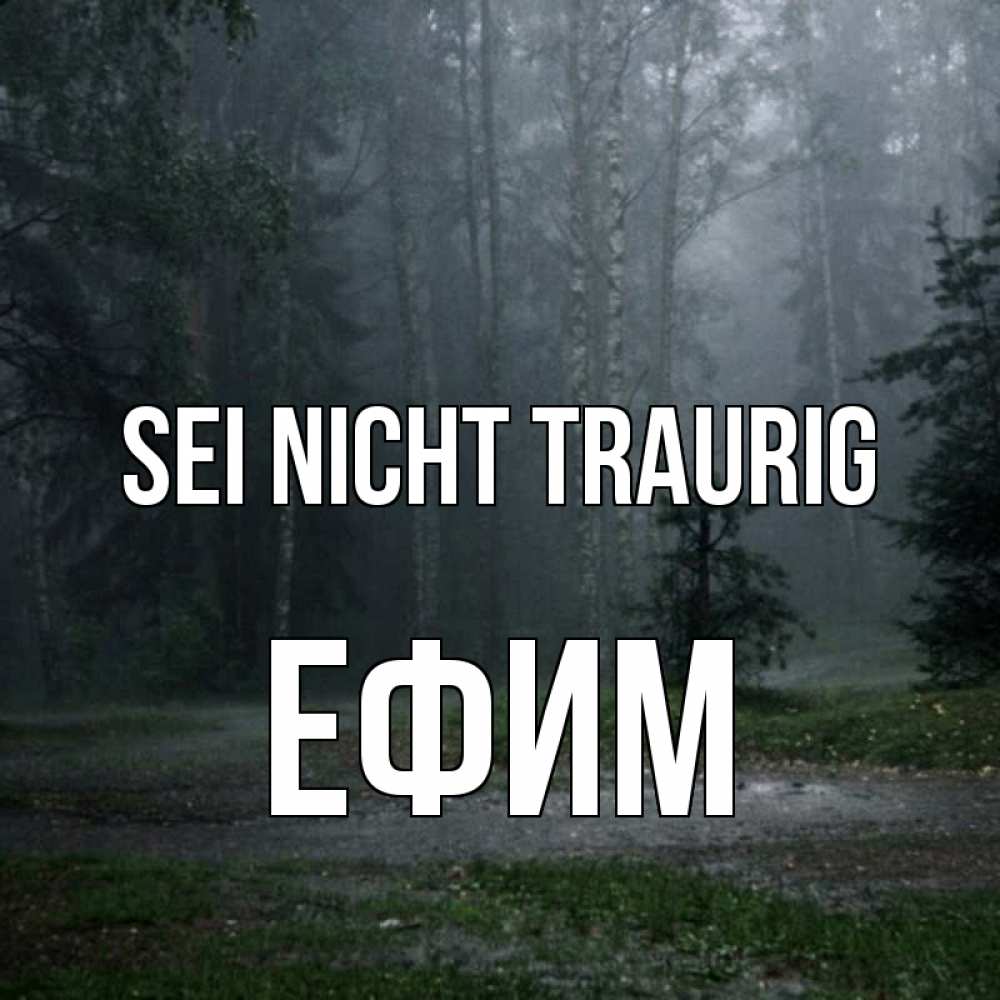 Открытка на каждый день с именем, Ефим Sei nicht traurig осень Прикольная открытка с пожеланием онлайн скачать бесплатно 