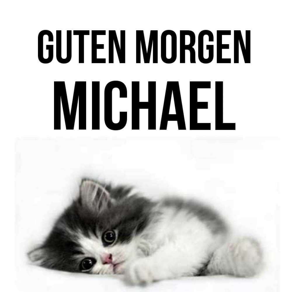 Открытка на каждый день с именем, Michael Guten Morgen кот лапки Прикольная открытка с пожеланием онлайн скачать бесплатно 