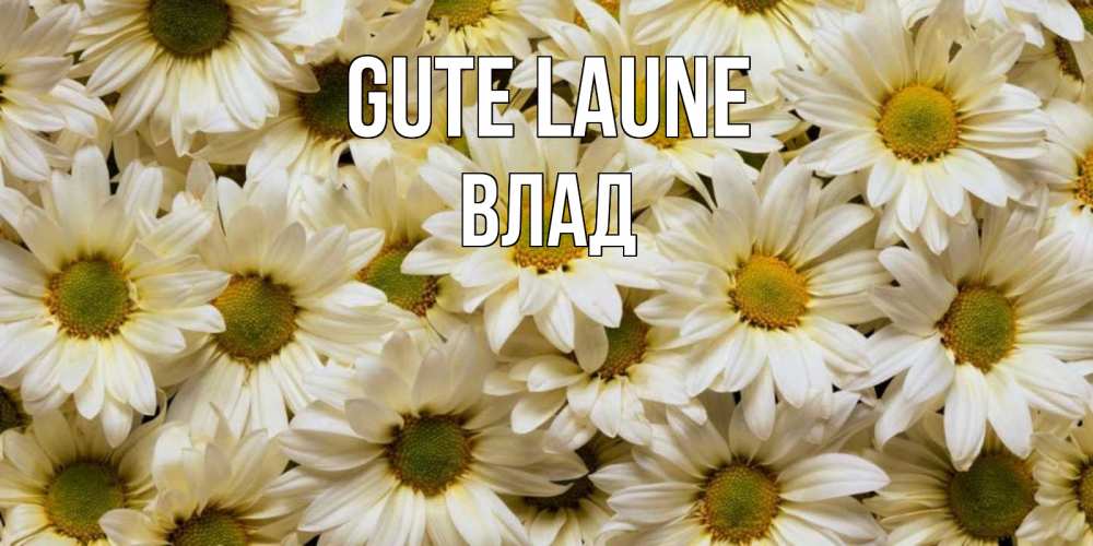 Открытка на каждый день с именем, Влад Gute Laune крупные ромашки Прикольная открытка с пожеланием онлайн скачать бесплатно 