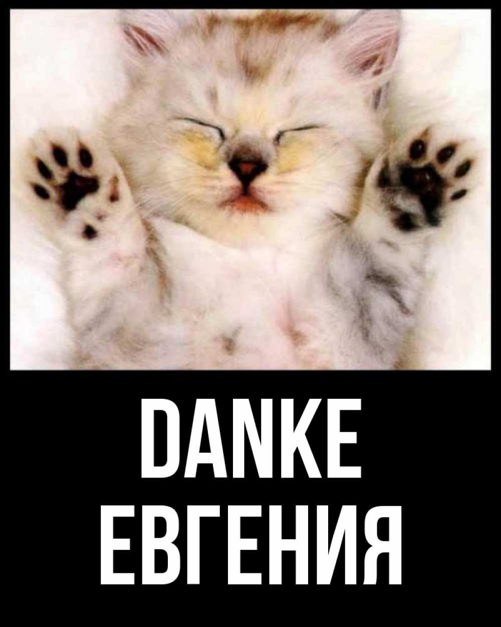 Открытка на каждый день с именем, Евгения Danke маленький котенок Прикольная открытка с пожеланием онлайн скачать бесплатно 