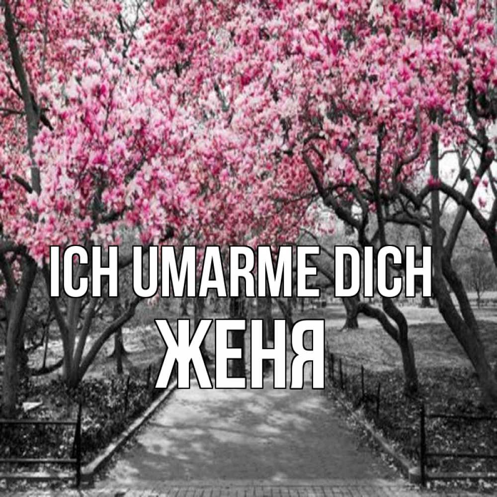 Открытка на каждый день с именем, Женя Ich umarme dich обработанное фото Прикольная открытка с пожеланием онлайн скачать бесплатно 