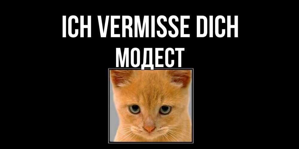 Открытка на каждый день с именем, Модест Ich vermisse dich открытки рыжий котенок скучает по тебе Прикольная открытка с пожеланием онлайн скачать бесплатно 