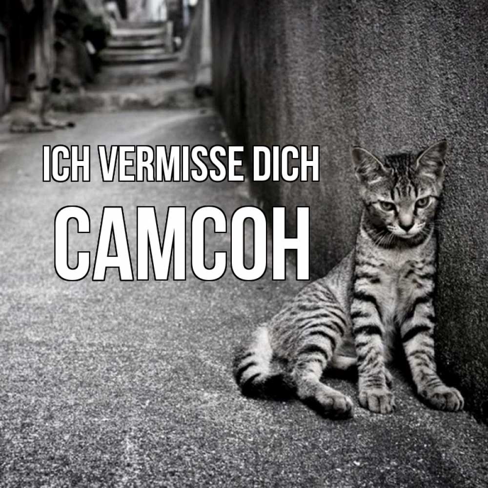 Открытка на каждый день с именем, Самсон Ich vermisse dich одиноко котику Прикольная открытка с пожеланием онлайн скачать бесплатно 