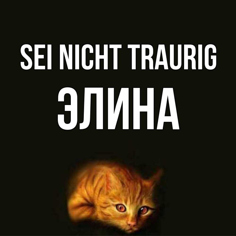 Открытка на каждый день с именем, Элина Sei nicht traurig лежащий кот в темноте Прикольная открытка с пожеланием онлайн скачать бесплатно 