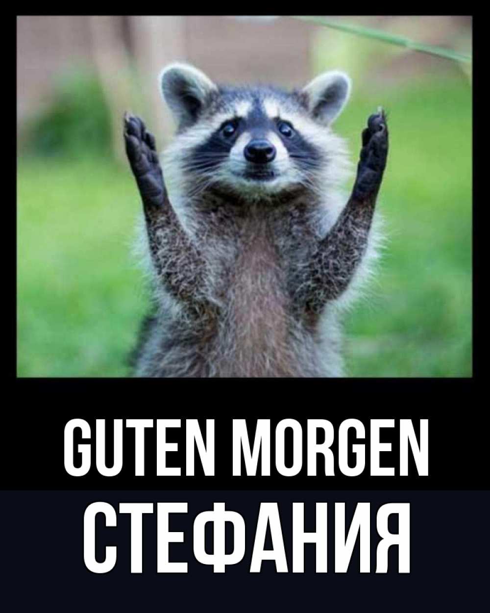 Открытка на каждый день с именем, Стефания Guten Morgen хорошее настроение утречком Прикольная открытка с пожеланием онлайн скачать бесплатно 