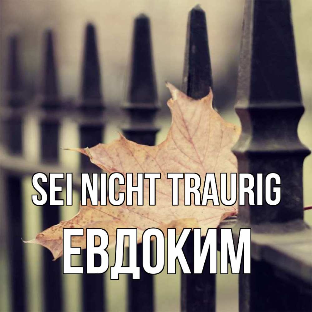 Открытка на каждый день с именем, Евдоким Sei nicht traurig лист клена Прикольная открытка с пожеланием онлайн скачать бесплатно 