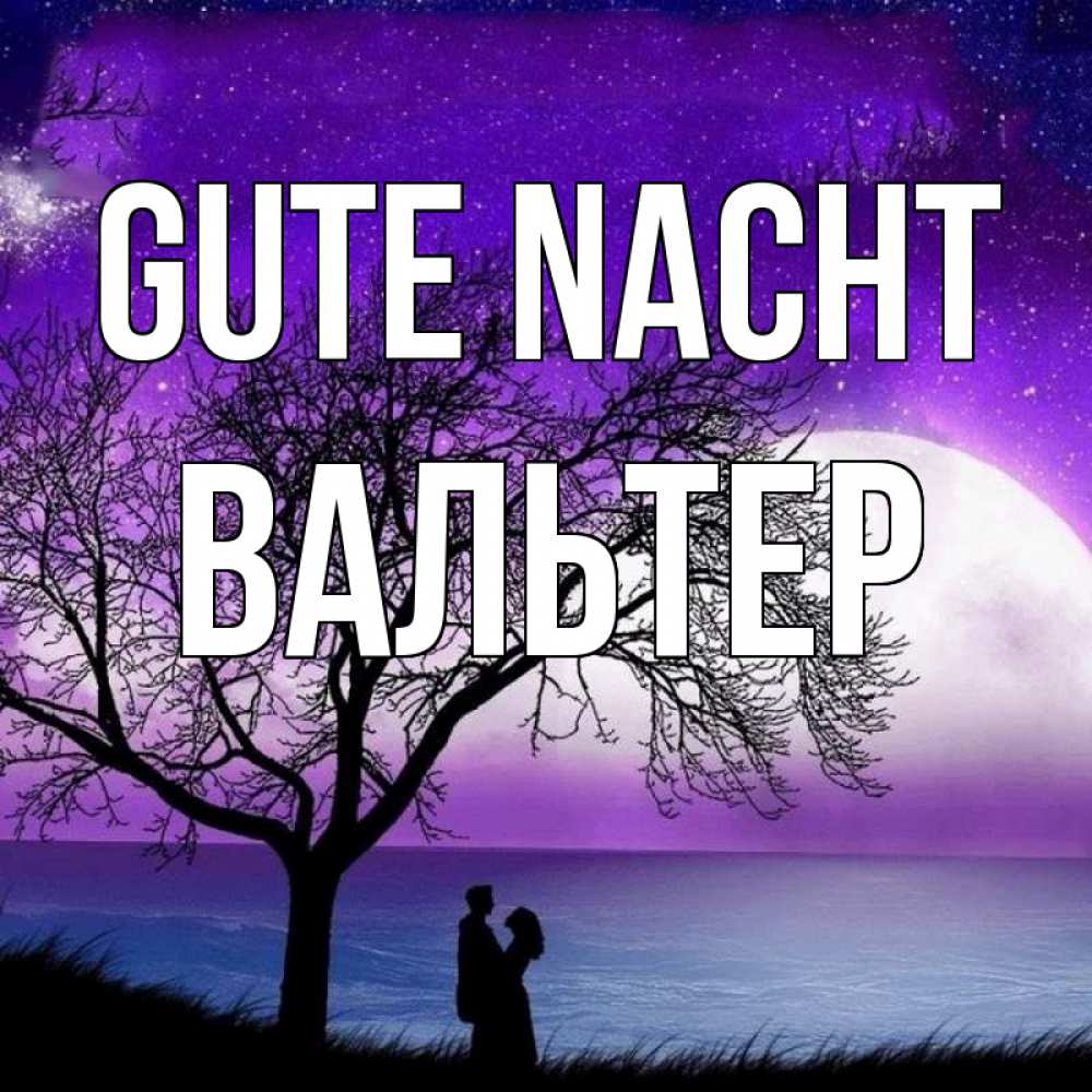 Открытка на каждый день с именем, Вальтер Gute Nacht огромная луна и парочка Прикольная открытка с пожеланием онлайн скачать бесплатно 