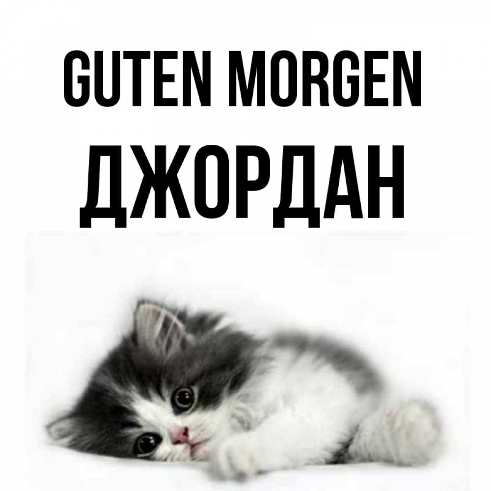 Открытка на каждый день с именем, Джордан Guten Morgen кот лапки Прикольная открытка с пожеланием онлайн скачать бесплатно 