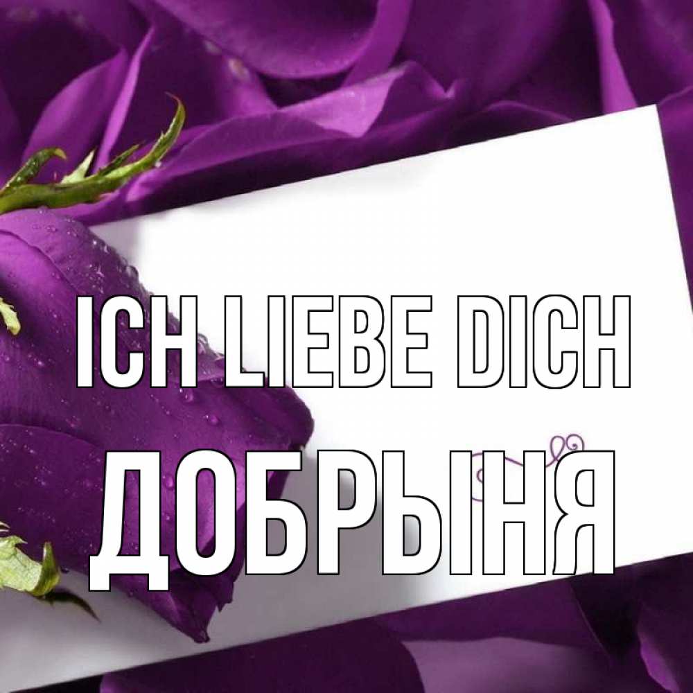 Открытка на каждый день с именем, Добрыня Ich liebe dich роза Прикольная открытка с пожеланием онлайн скачать бесплатно 