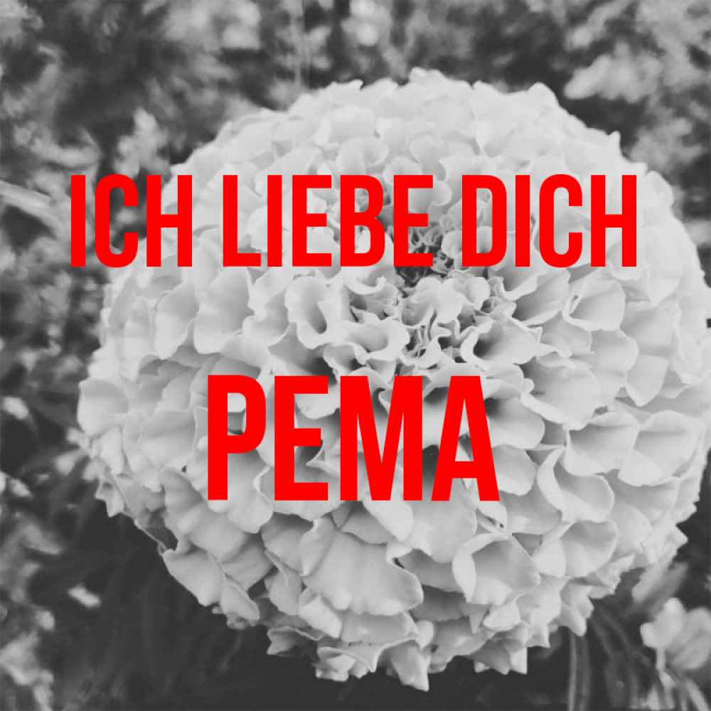 Открытка на каждый день с именем, Рема Ich liebe dich подпись Прикольная открытка с пожеланием онлайн скачать бесплатно 