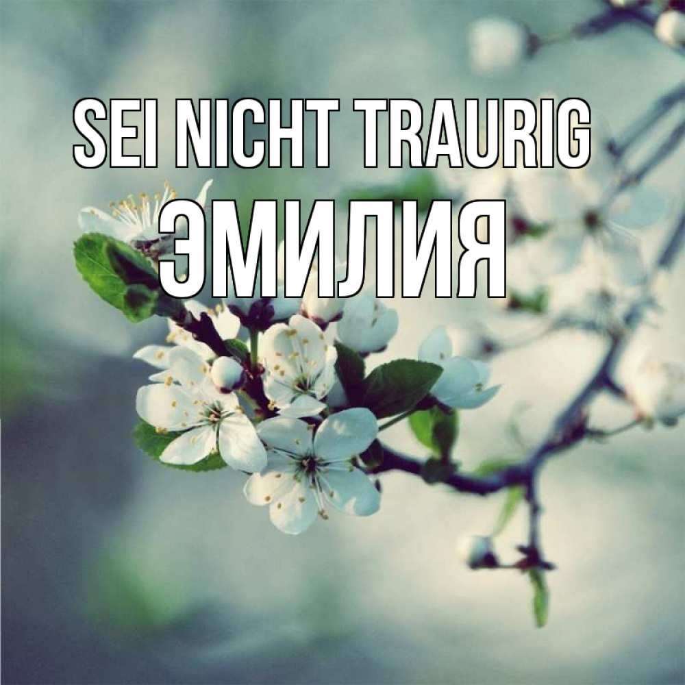Открытка на каждый день с именем, Эмилия Sei nicht traurig яблоня в цвету 1 Прикольная открытка с пожеланием онлайн скачать бесплатно 