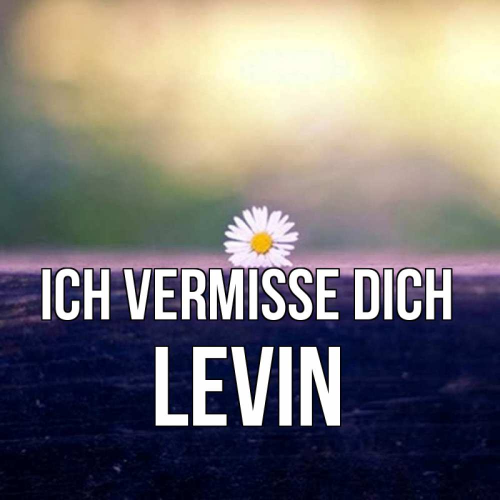 Открытка на каждый день с именем, Levin Ich vermisse dich приходи в гости Прикольная открытка с пожеланием онлайн скачать бесплатно 