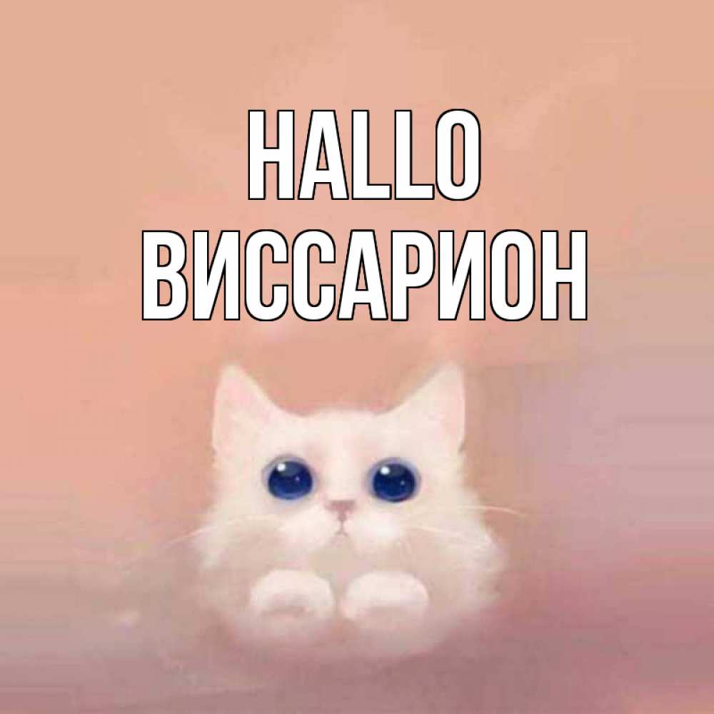 Открытка на каждый день с именем, Виссарион Hallo котик белый в полете Прикольная открытка с пожеланием онлайн скачать бесплатно 