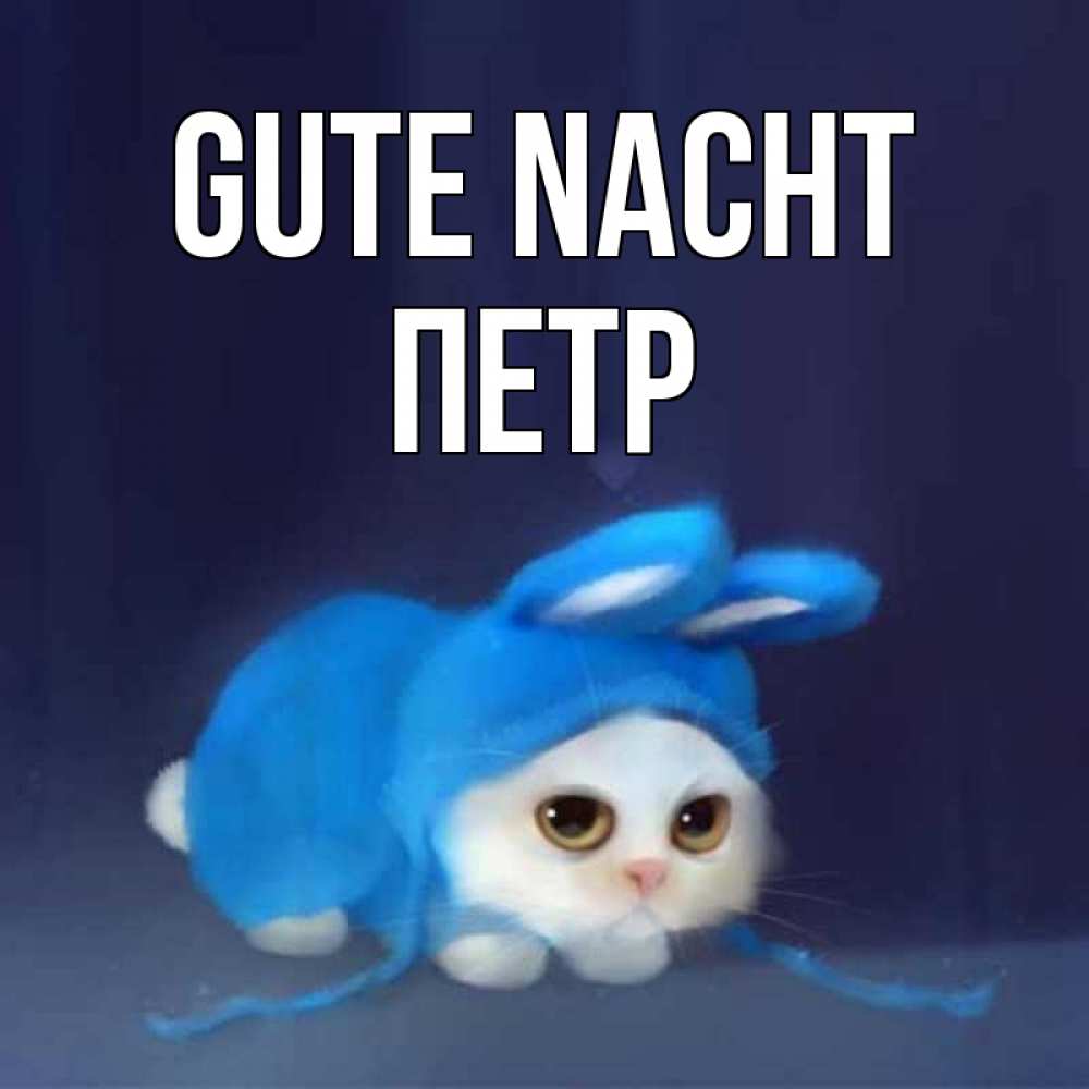 Открытка на каждый день с именем, Петр Gute Nacht кот в голубом костюме кролика с ушками Прикольная открытка с пожеланием онлайн скачать бесплатно 