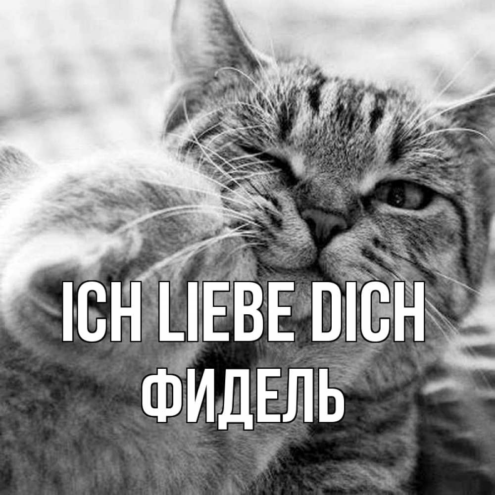 Открытка на каждый день с именем, Фидель Ich liebe dich коты Прикольная открытка с пожеланием онлайн скачать бесплатно 