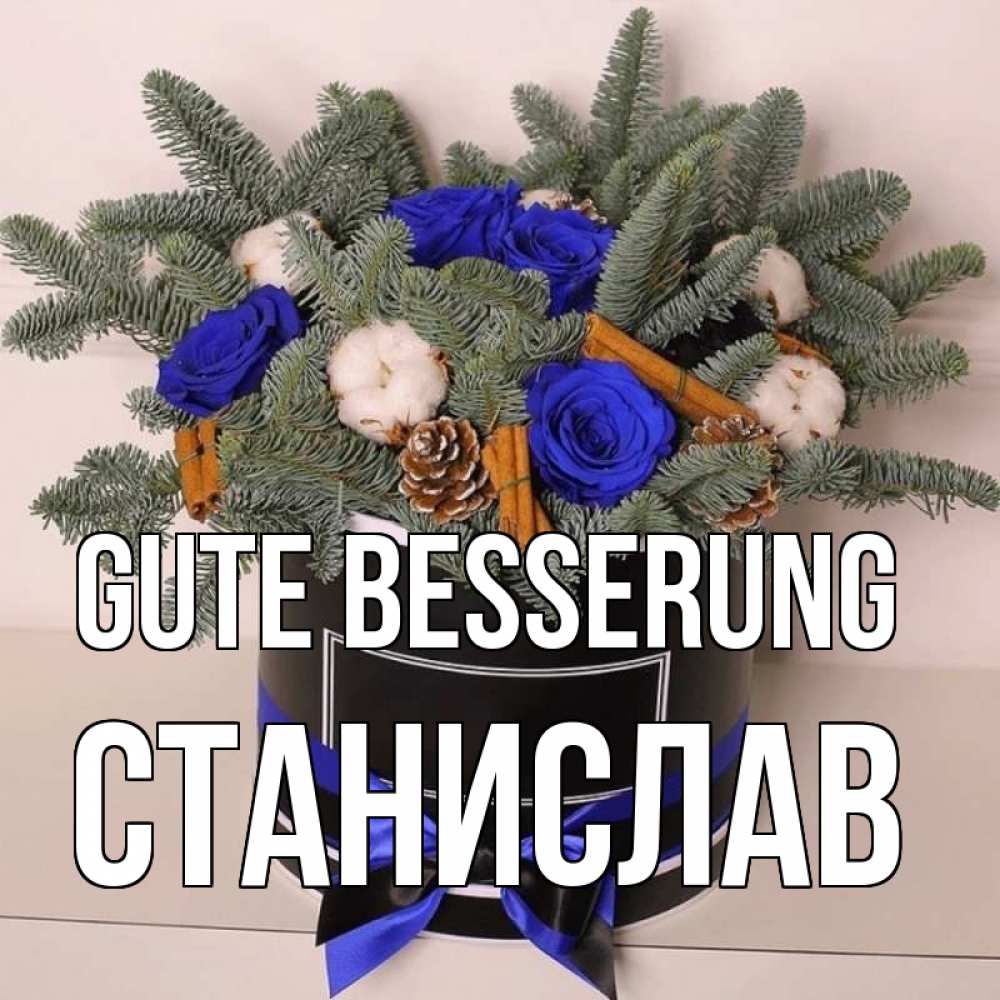 Открытка на каждый день с именем, Станислав Gute Besserung короче кто то загрузил эти шишки Прикольная открытка с пожеланием онлайн скачать бесплатно 